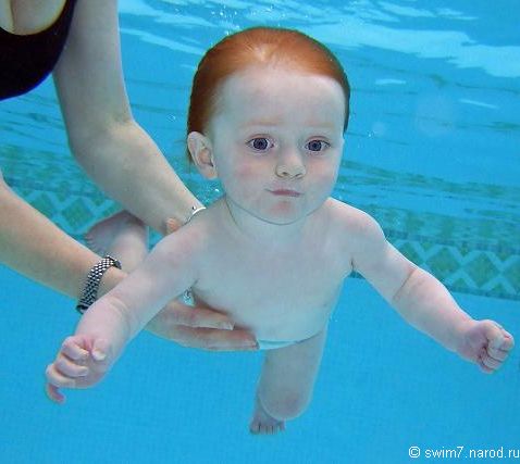 Мнение Тренеров о Раннем  Обучении Плаванию Детей